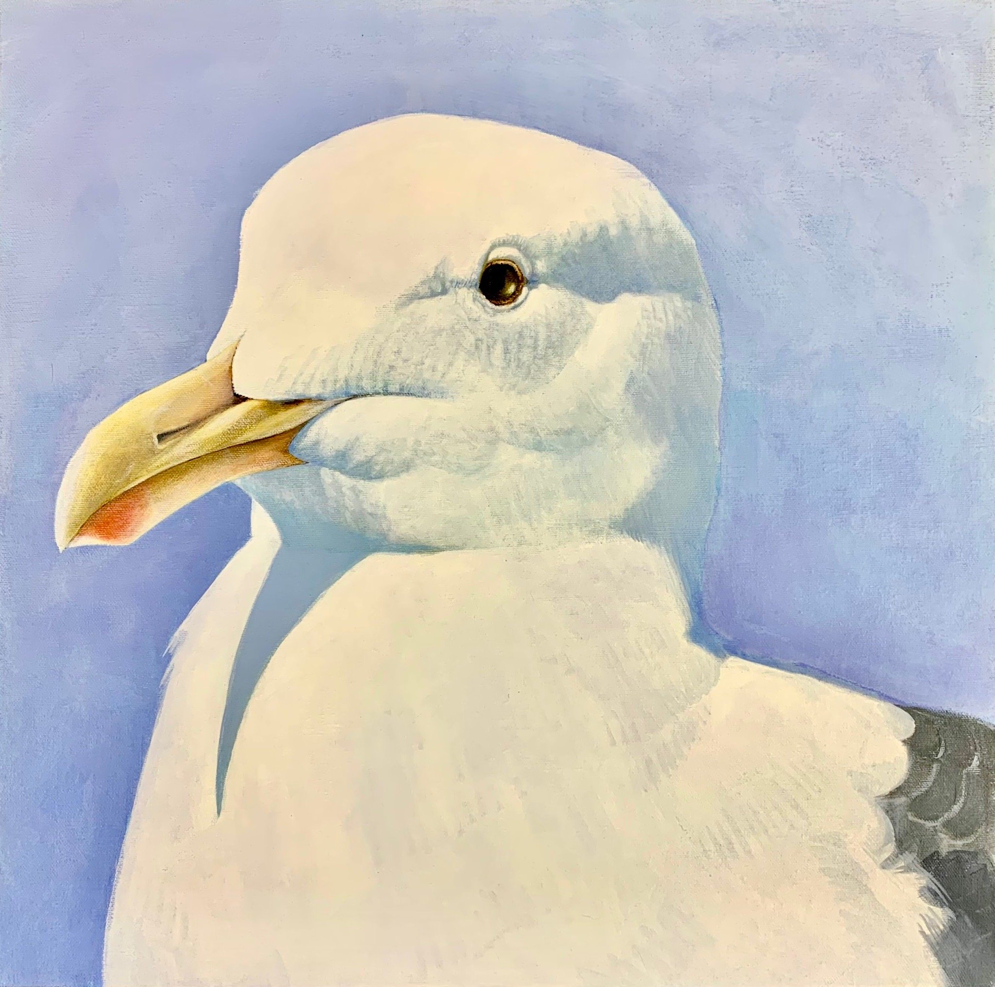 Large Western Gull, #2, 1989  (Copy)