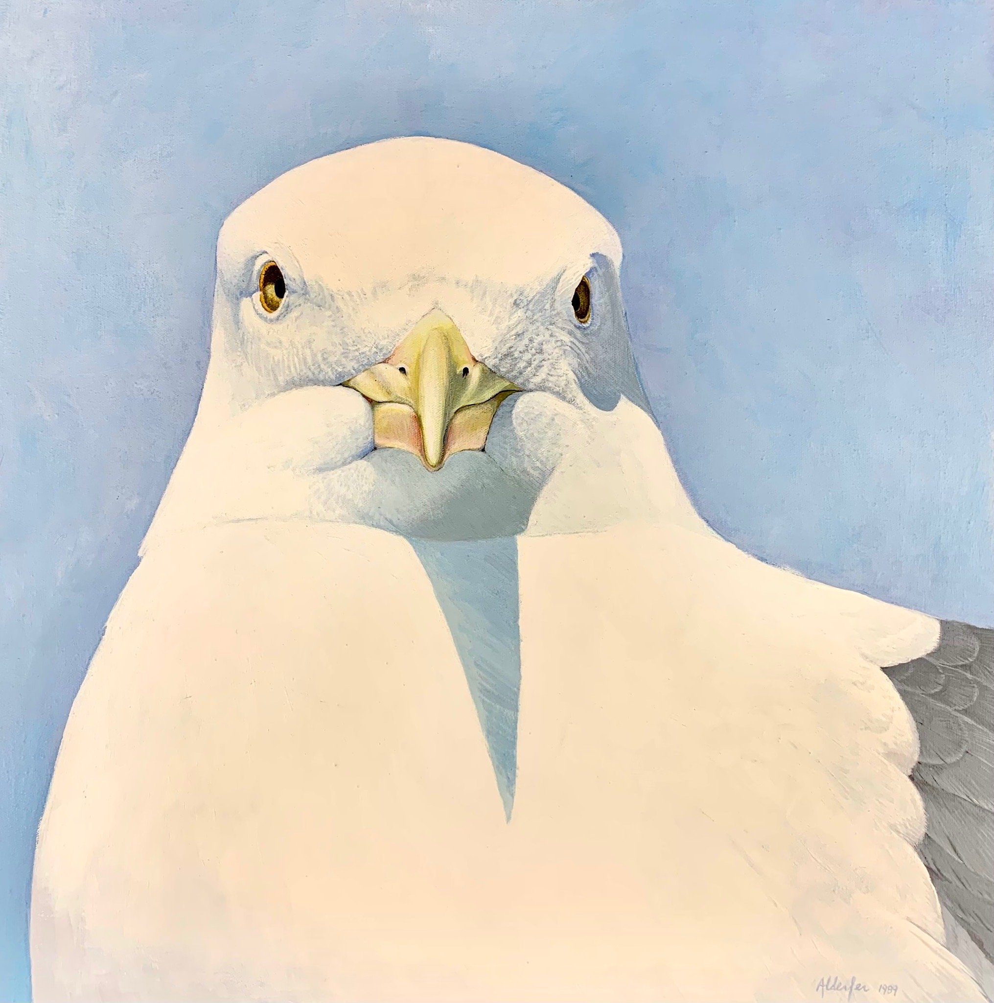 Large Western Gull, #1, 1989 (Copy)