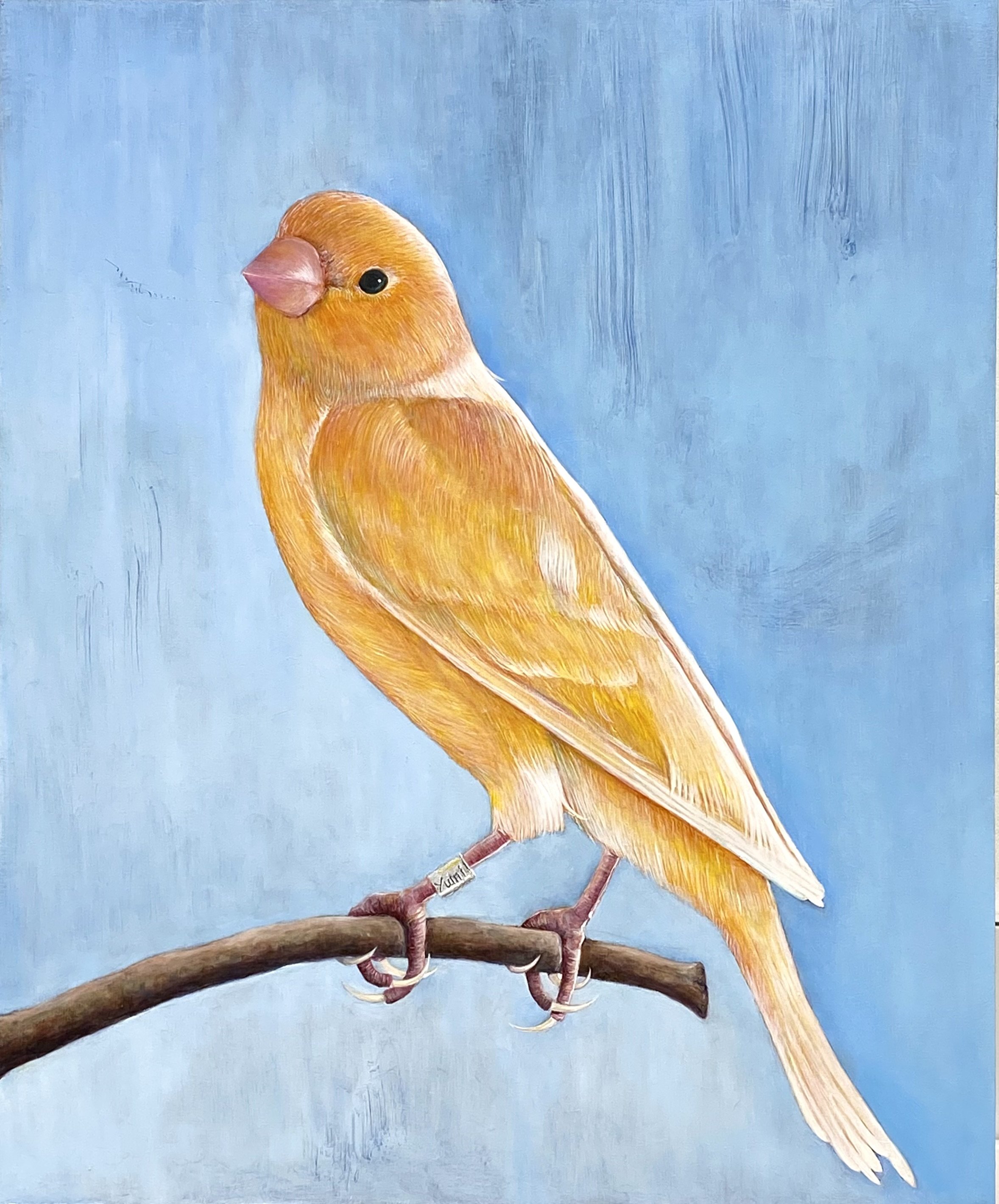 Orange Canary (Copy)
