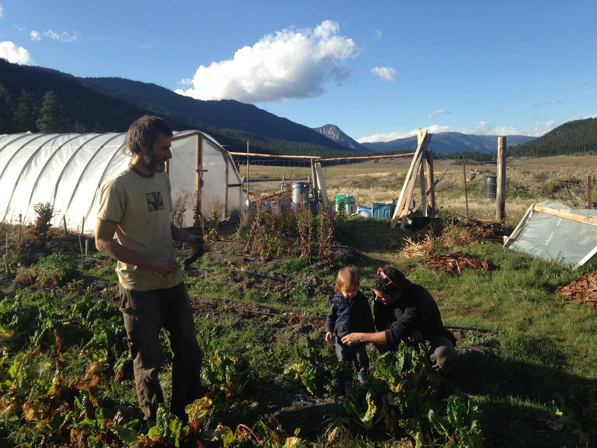 Local Bounty: Growing Sustainability