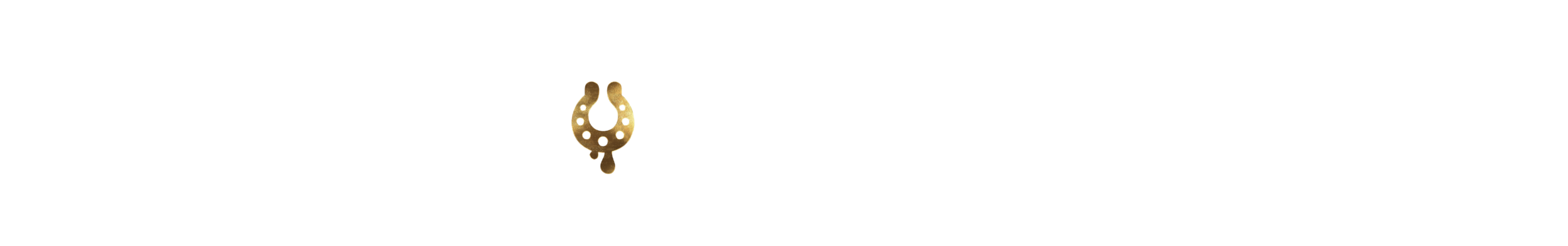 Logo White 01-01342.png