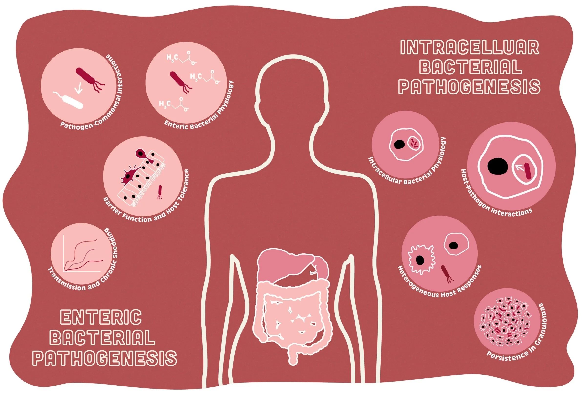 Monack-Lab_Schematic.jpg