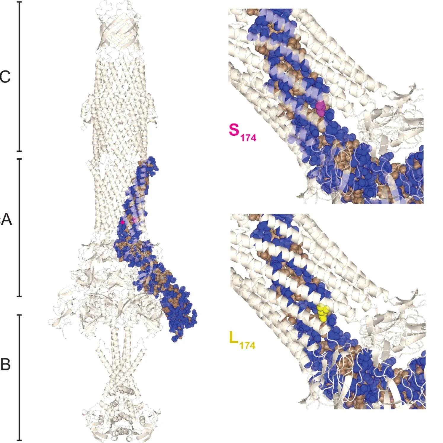 Screen Shot 2021-04-27 at 7.38.58 PM.png