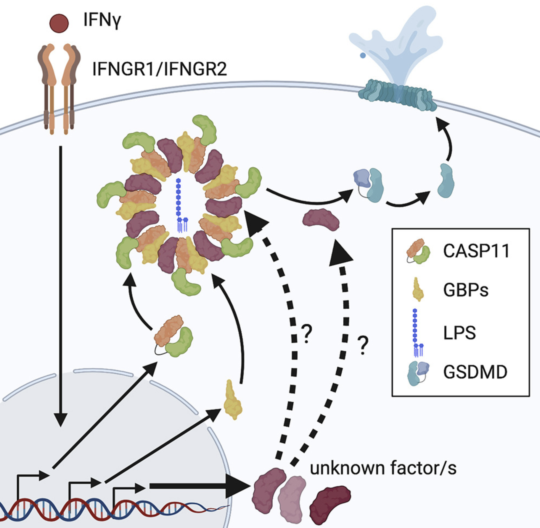 Screen Shot 2021-04-27 at 7.54.18 PM.png