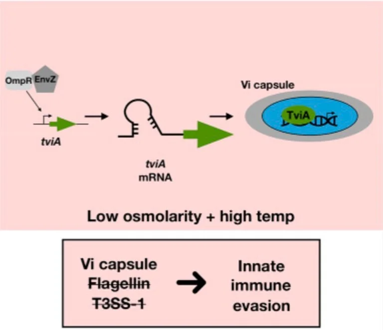 Screen Shot 2021-04-27 at 8.08.13 PM.png