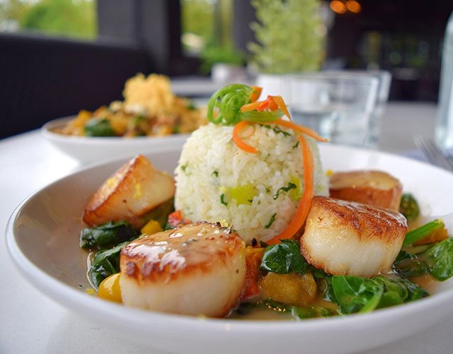 Our Seared Atlantic Sea Scallops will only be around for a couple more weeks and you should definitely try them before it&rsquo;s too late! Cilantro jasmine rice, saut&eacute;ed asparagus, grilled sweet peppers and yellow squash pair perfectly with t