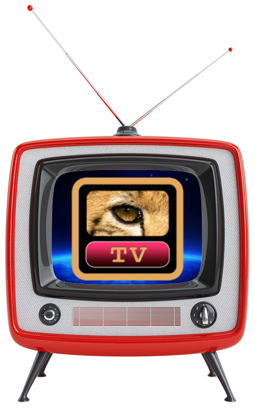 Your P roject Camelot Network Membership, as part of the larger PVolt.it Network , allows you to support the mission, while joining kindred to connect, create/enjoy media, commerce, connection and tech as we grow as ONE.