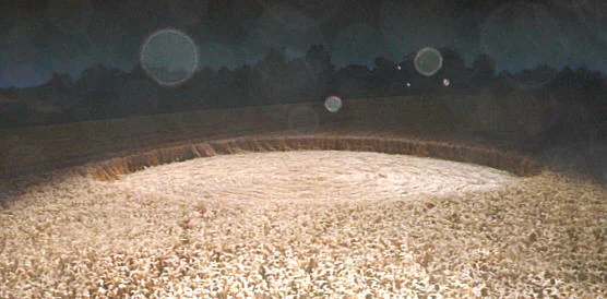 Crop Circle with white orbs