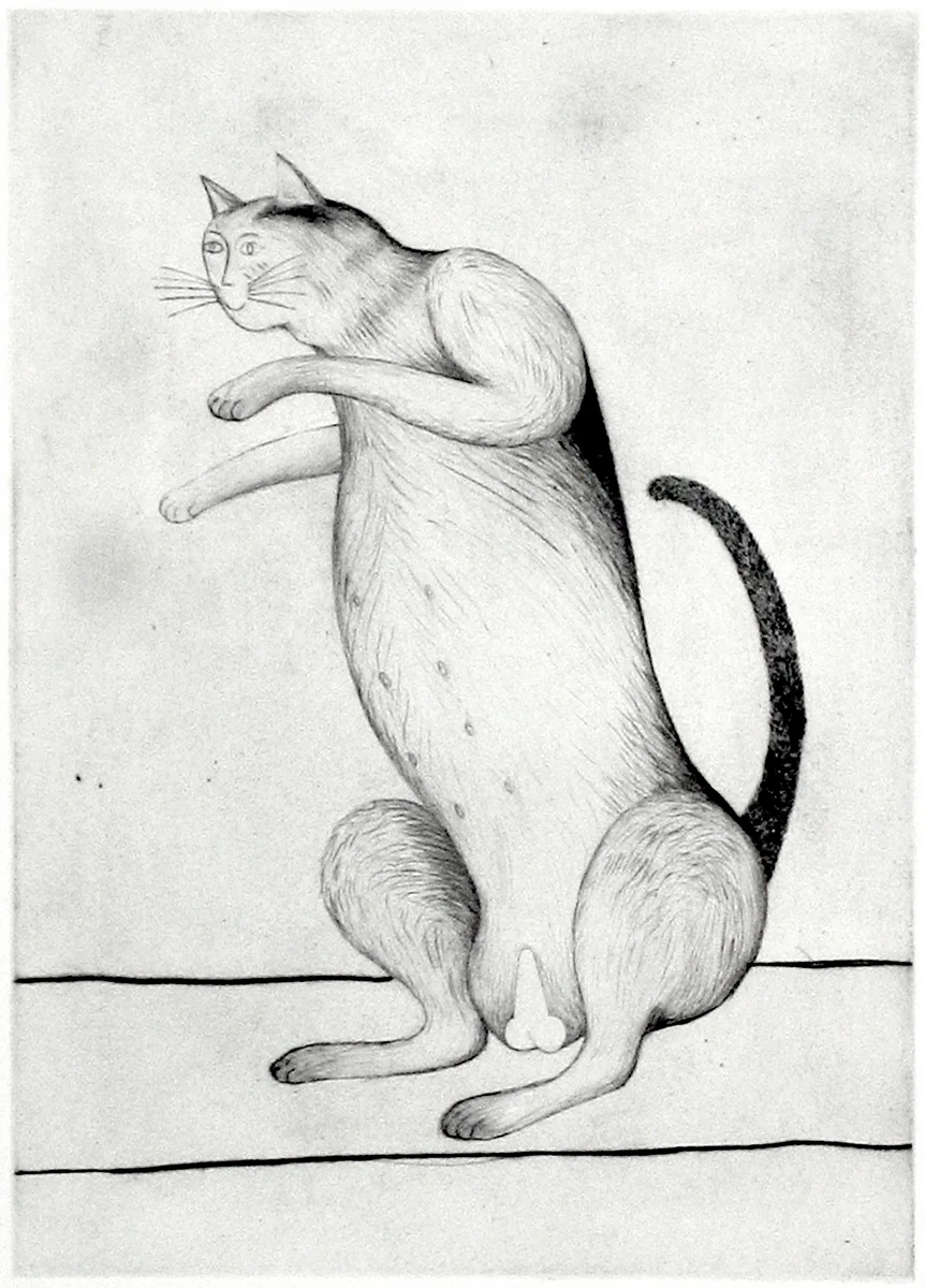 Male and Female, 2005