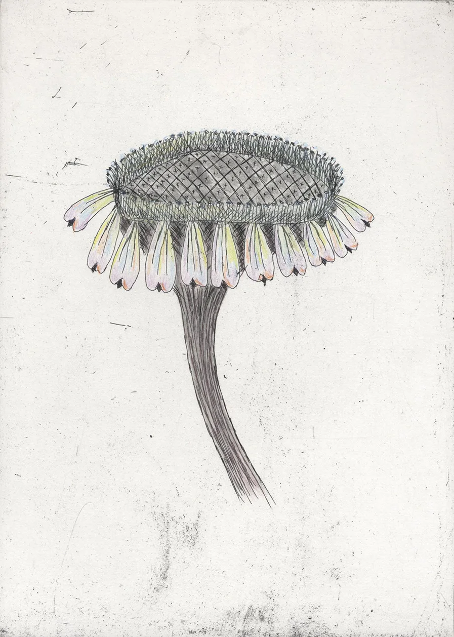 Escapades, 2011