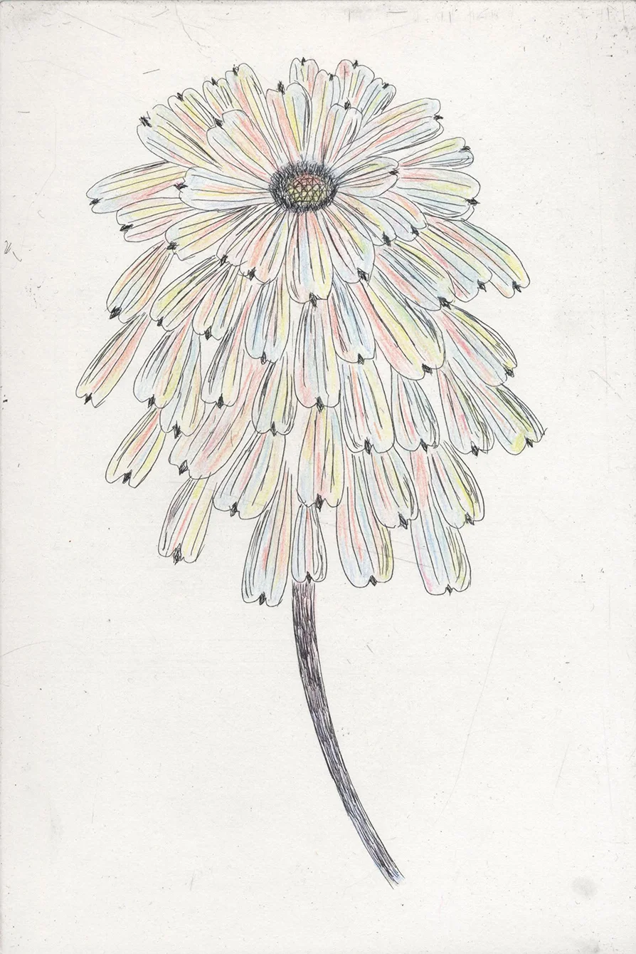 Escapades, 2011
