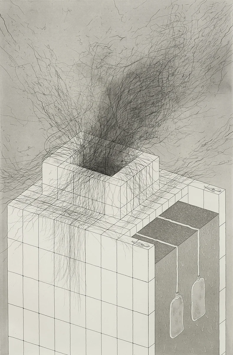 Tall Building with Hairy Expulsion, 2016
