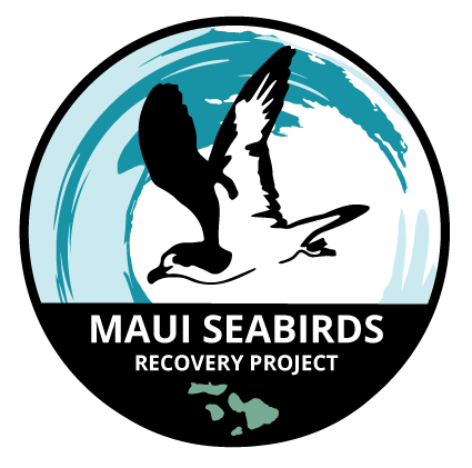 sea birds logo-01.png