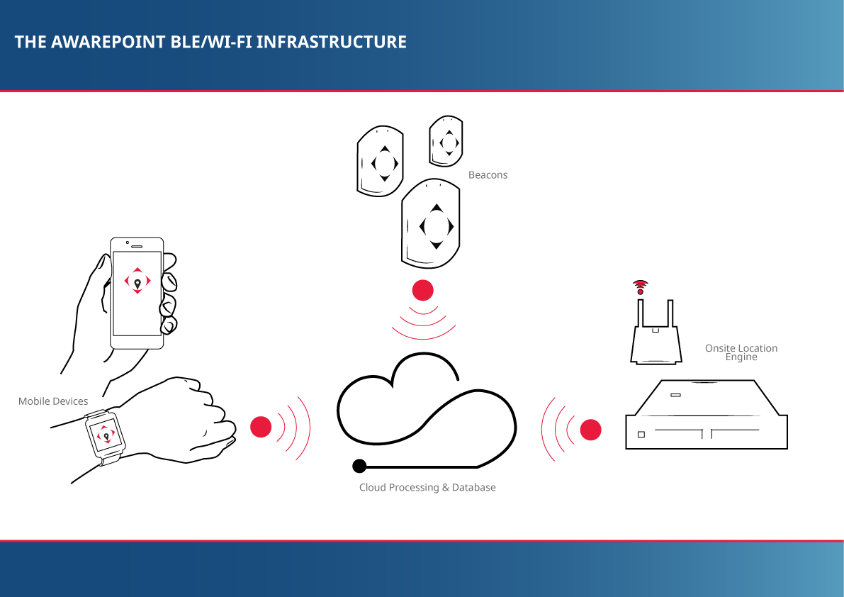 brochure-infographic.png
