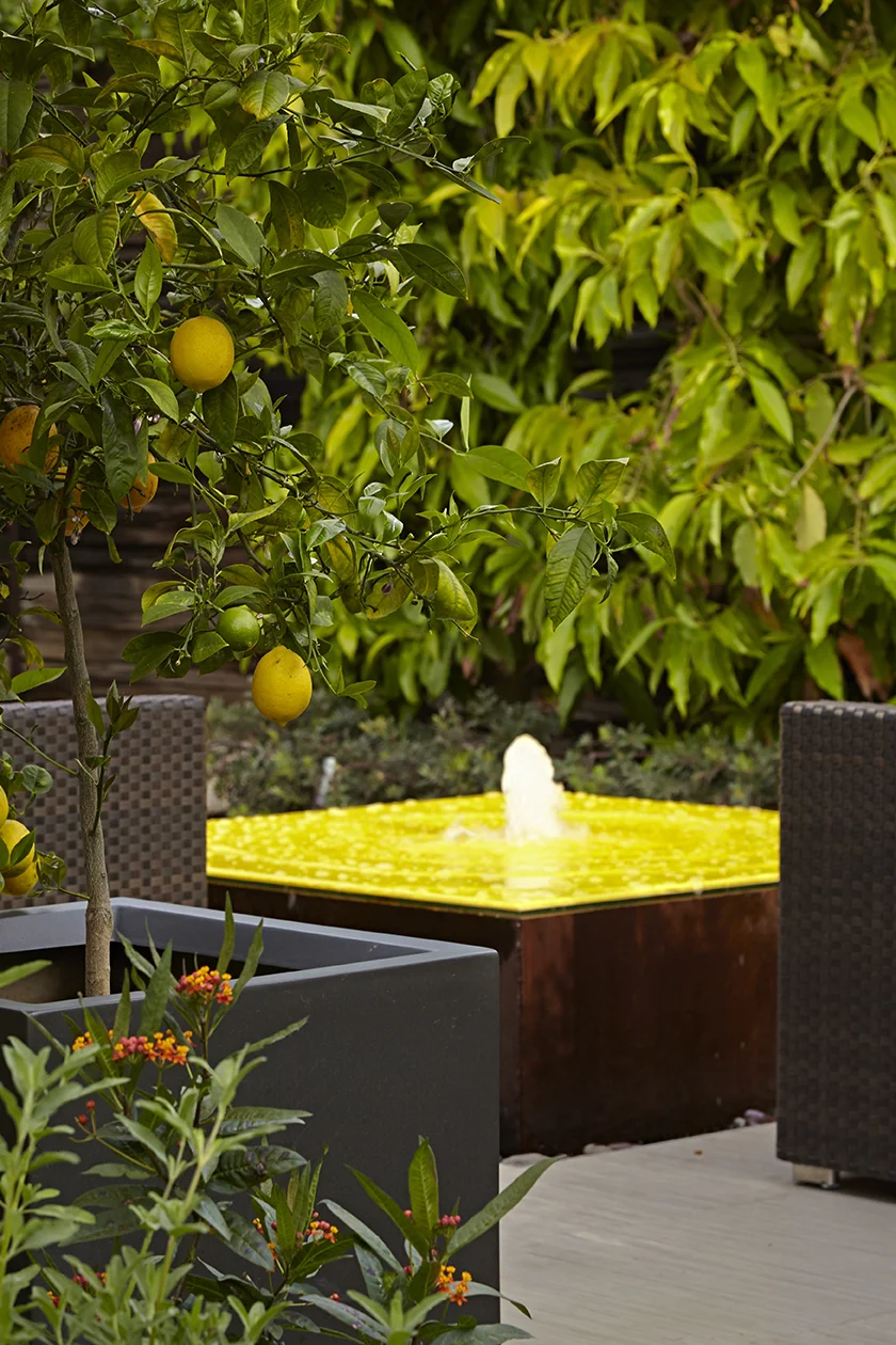 Courtyards_MG_1677.jpg