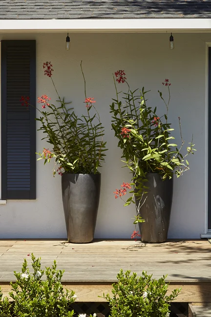 VerandaGarden_E6A0920.jpg