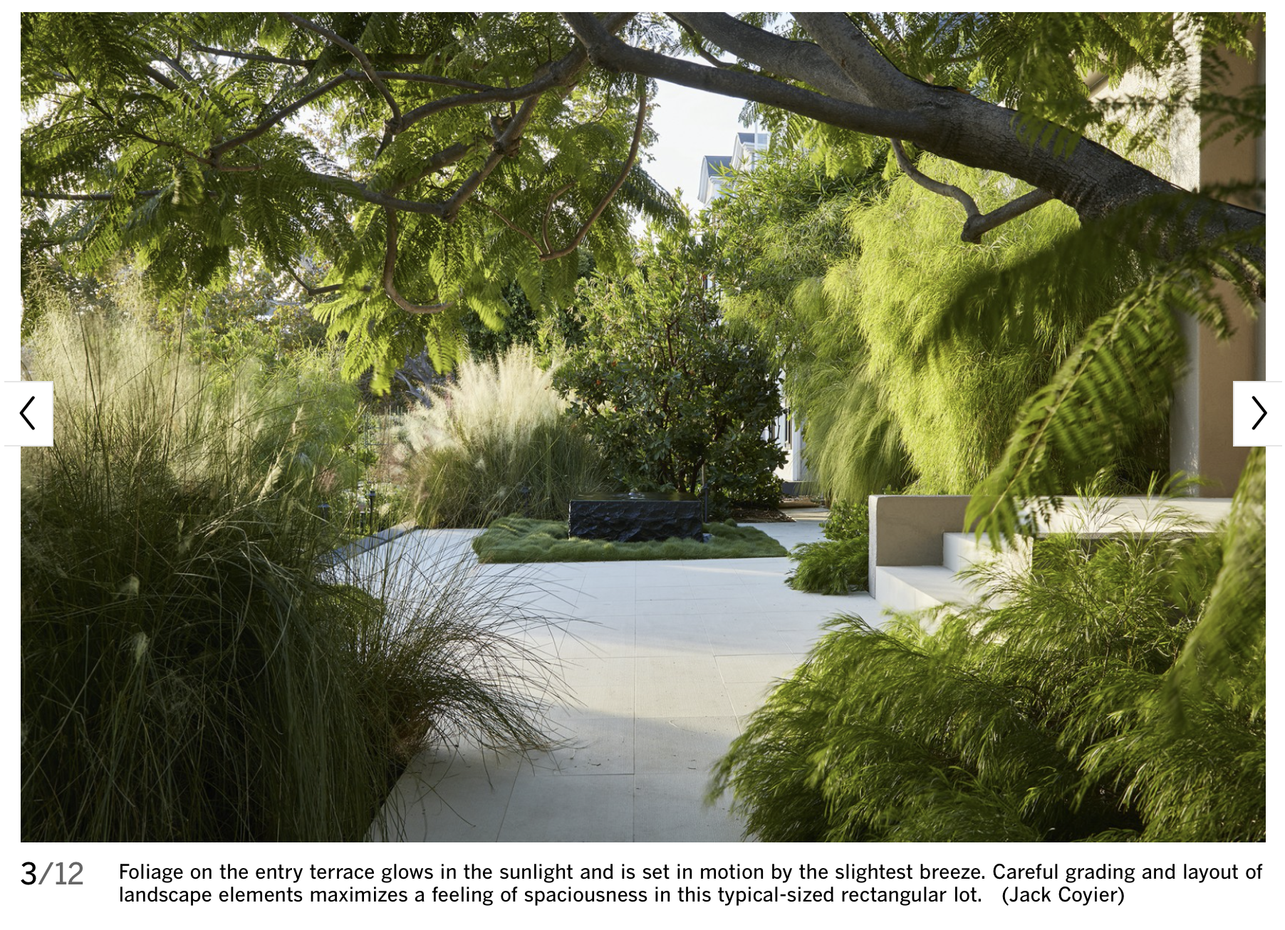 Screen Shot 2019-11-25 at 10.49.08 AM.png