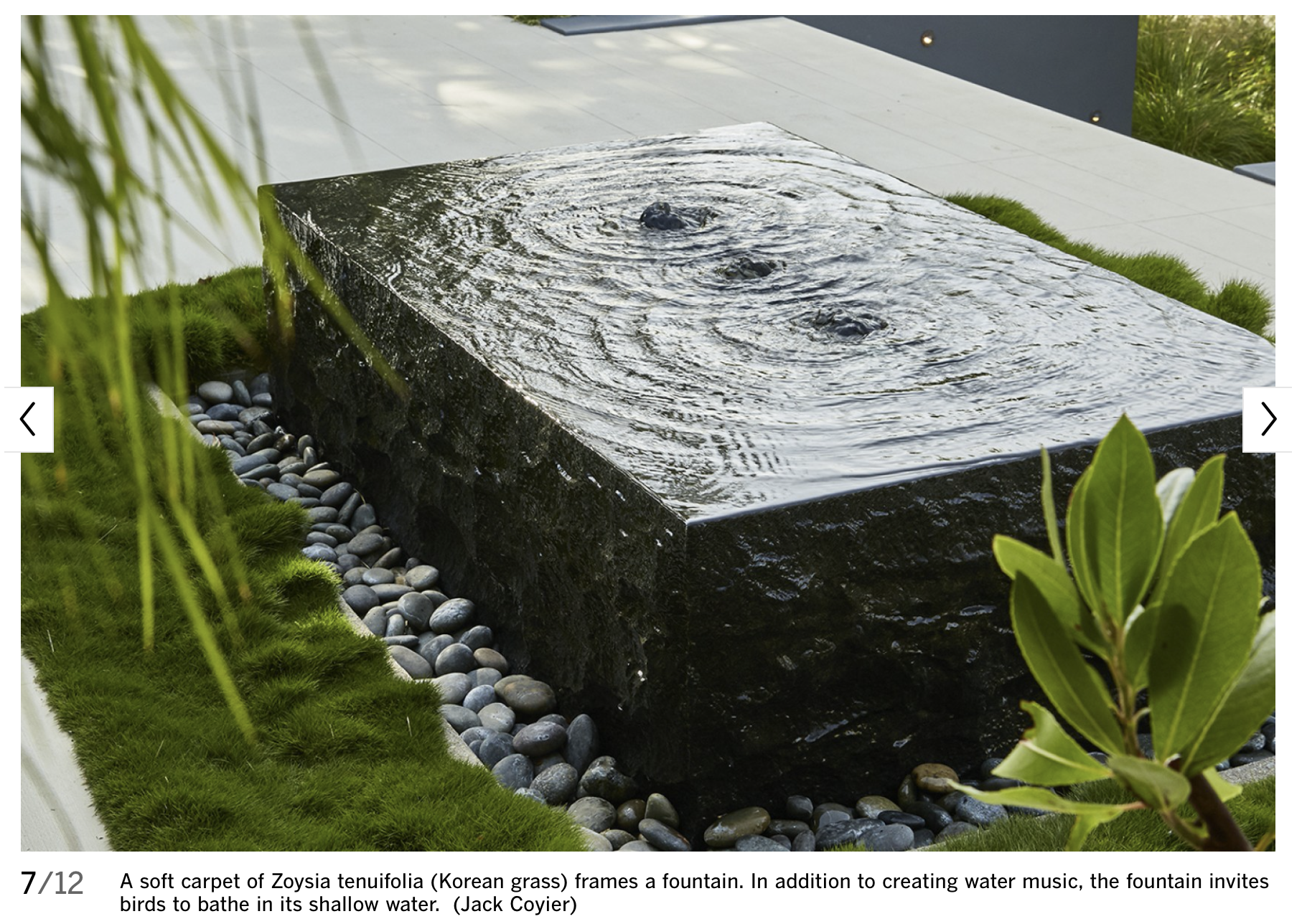 Screen Shot 2019-11-25 at 10.51.55 AM.png