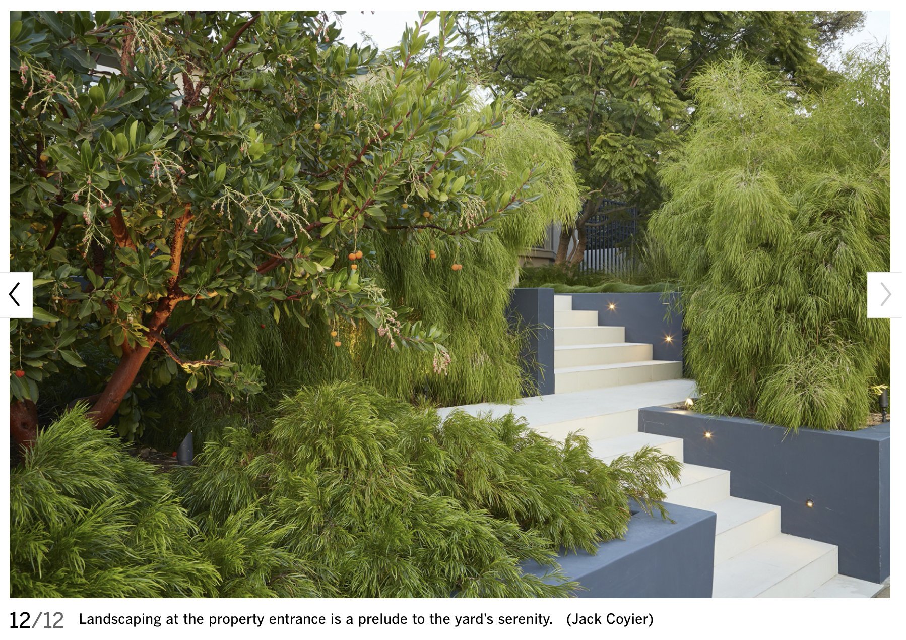 Screen Shot 2019-11-25 at 10.52.20 AM.png