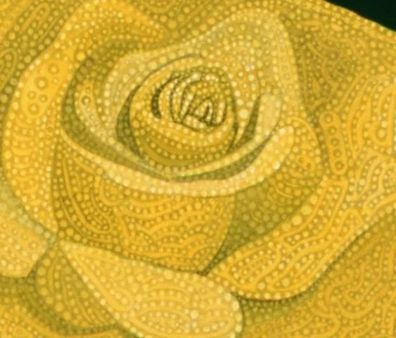 Yellow Roses Close-up