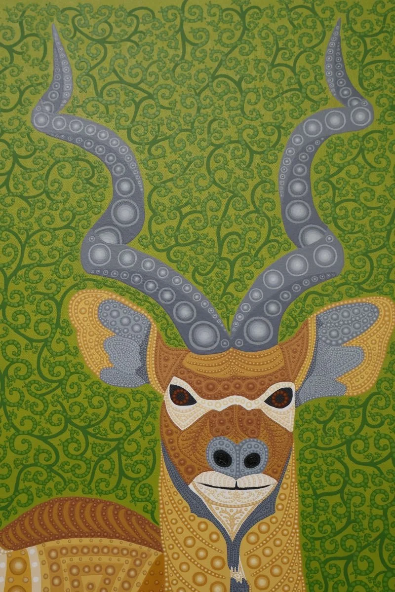Kudu, Close-up Head and Antlers