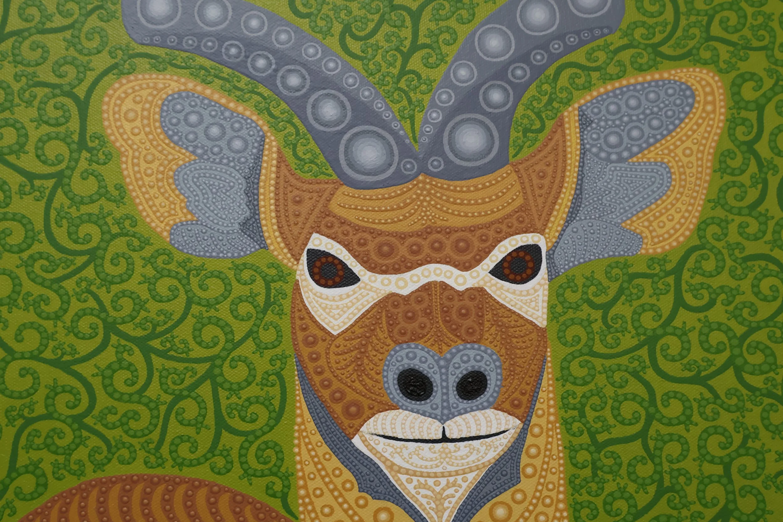 Kudu, Close-up Face