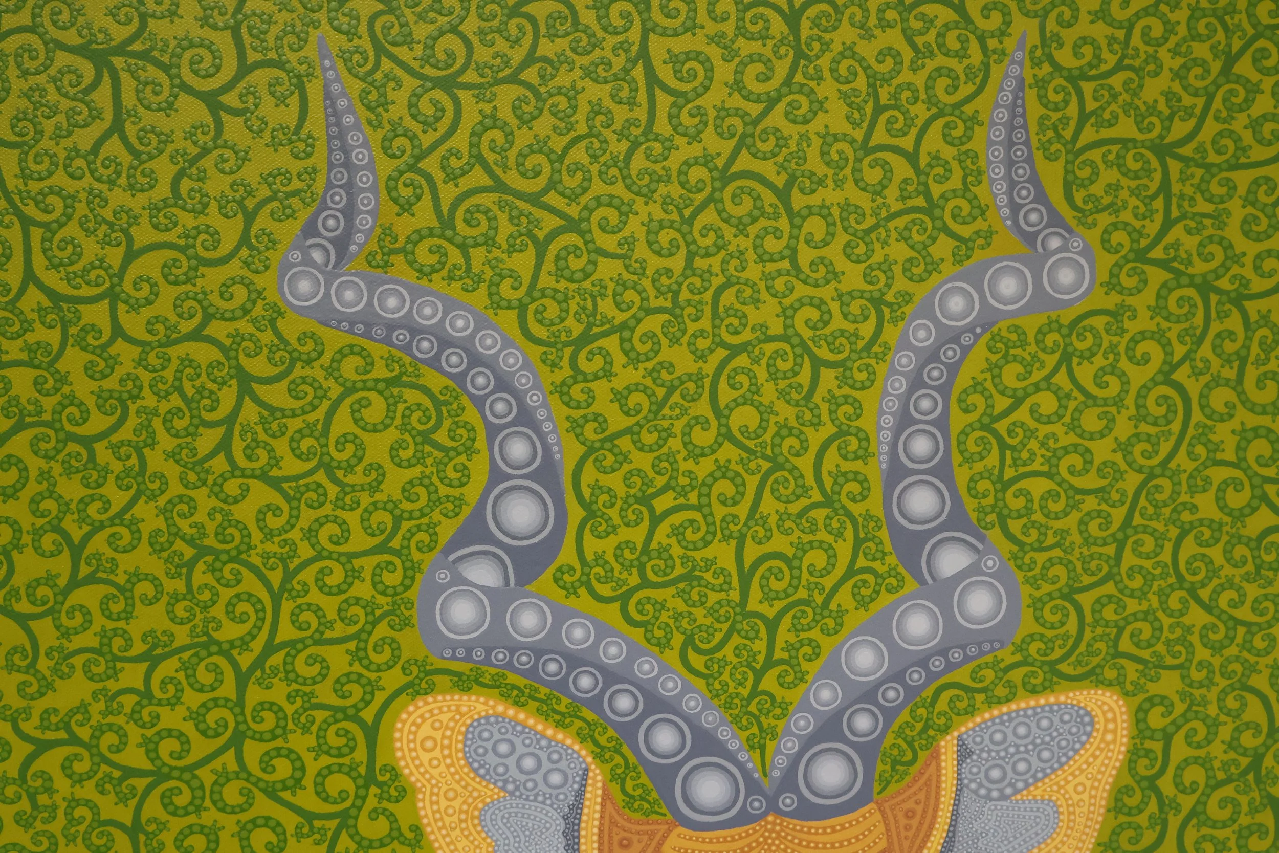 Kudu,  Close-up Antlers