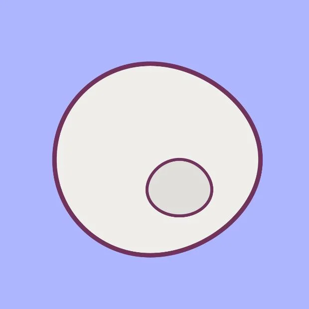 A population of suspension or adherent cells can be modified within 4 minutes. 