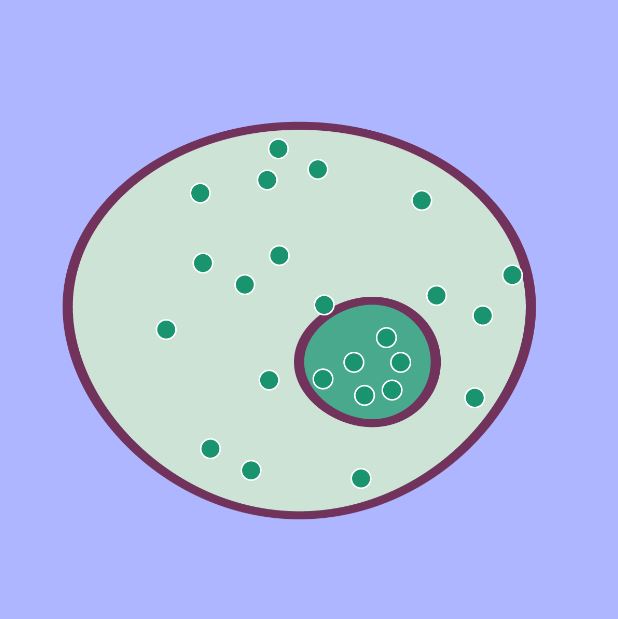 Cell permeabilization is rapidly reversed with a stop solution preserving cell viability and functionality.