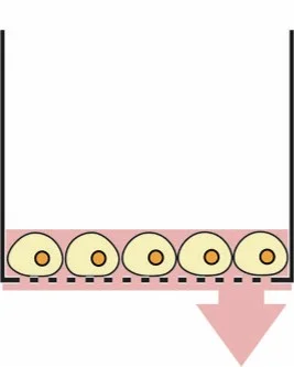 A population of suspension or adherent cells can be modified within 4 minutes. Media is removed through the filter membrane.