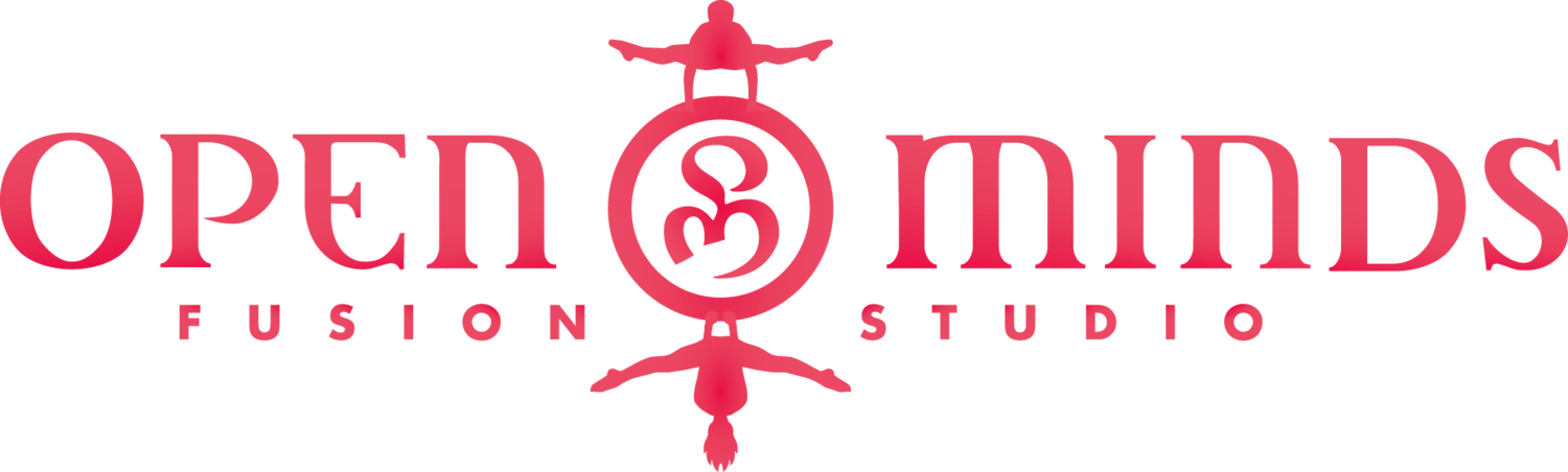 Open Minds Fusion Studio