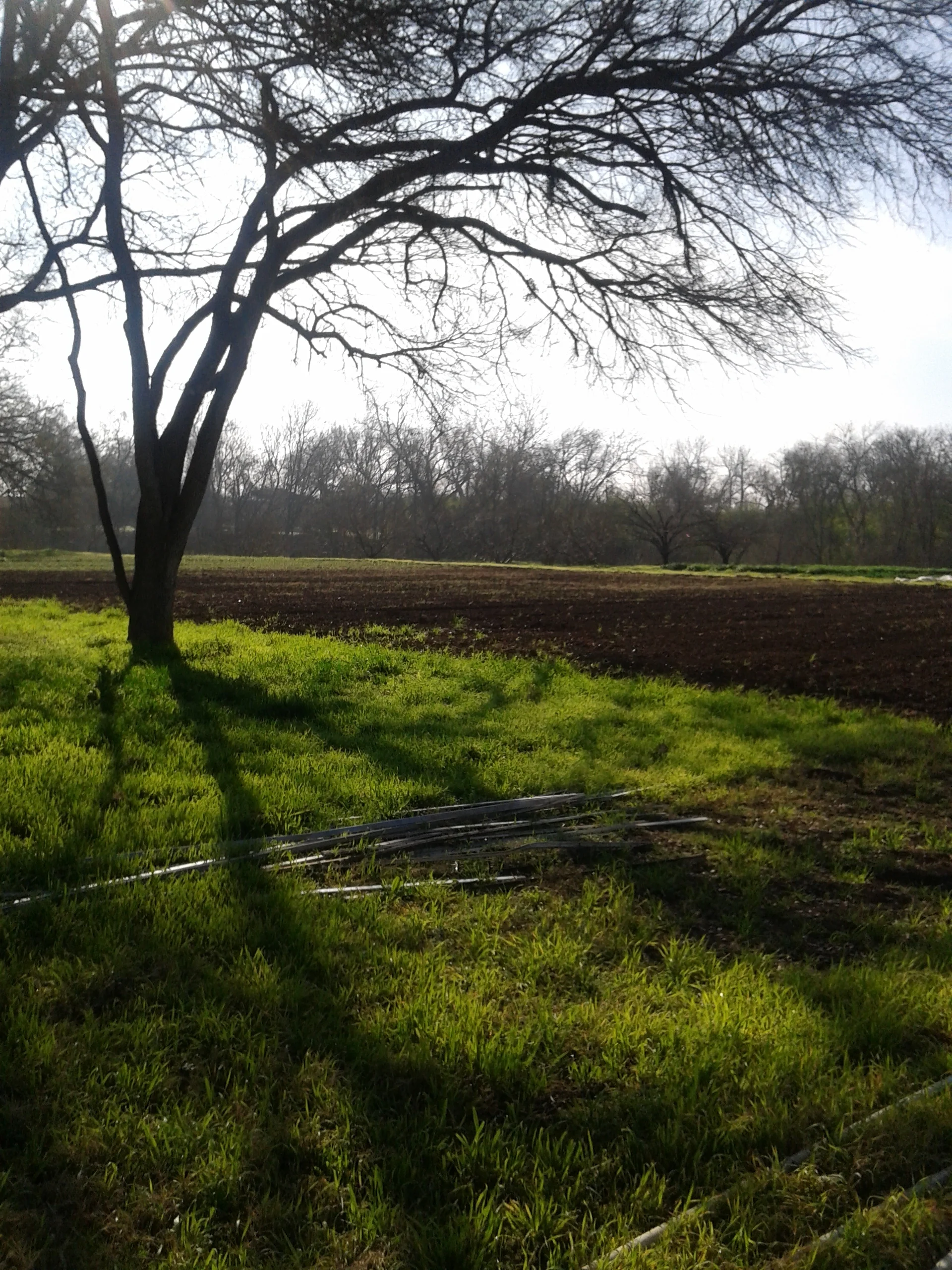 20150211_094414.jpg