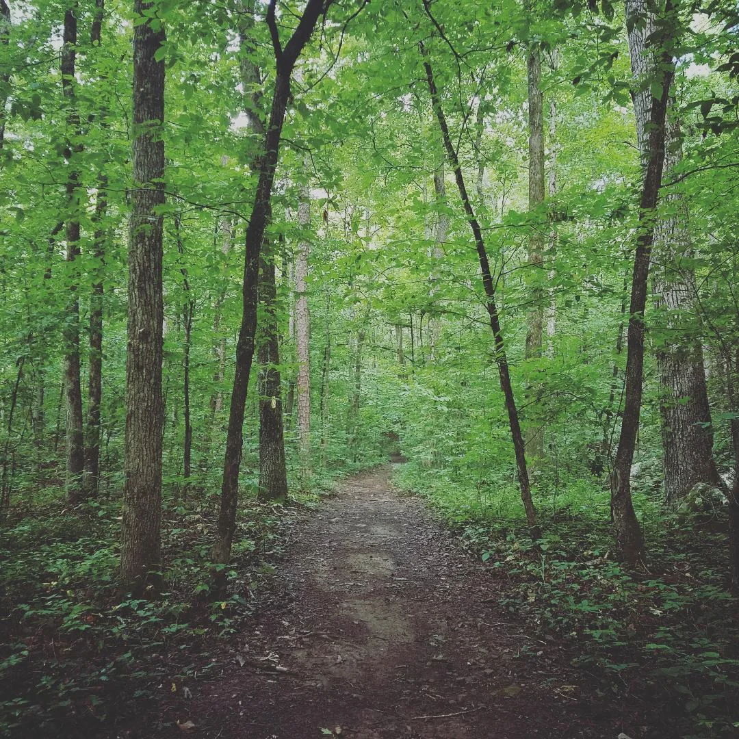 path.jpg