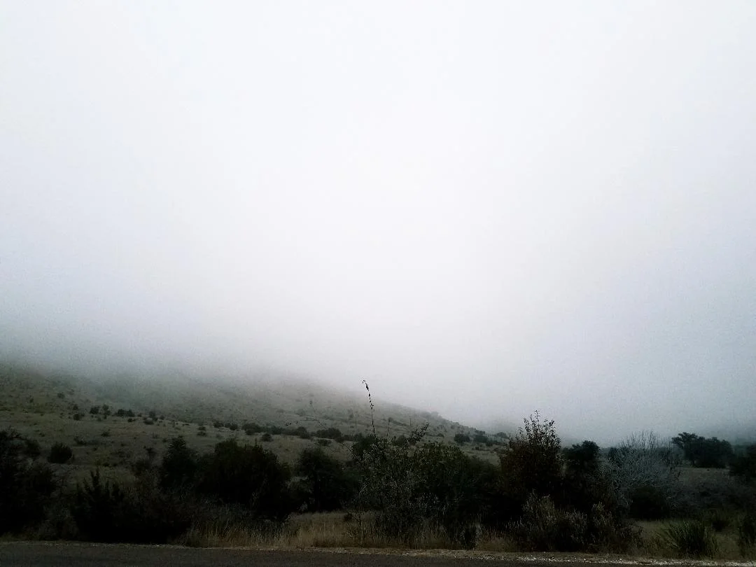 the fog.jpg