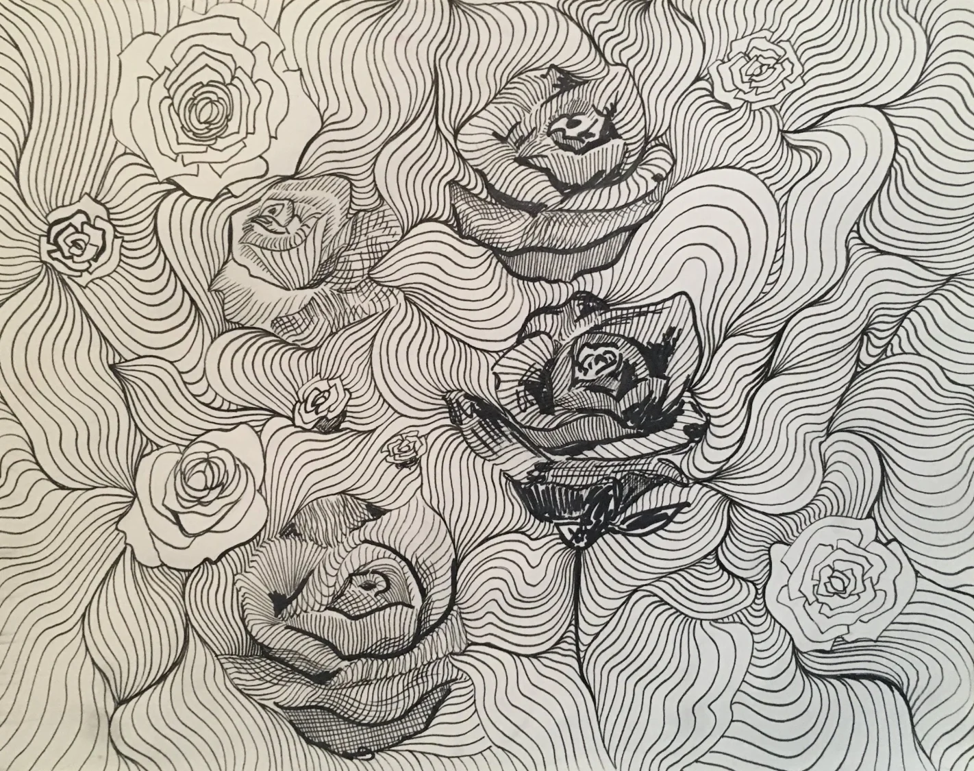 rose sketch