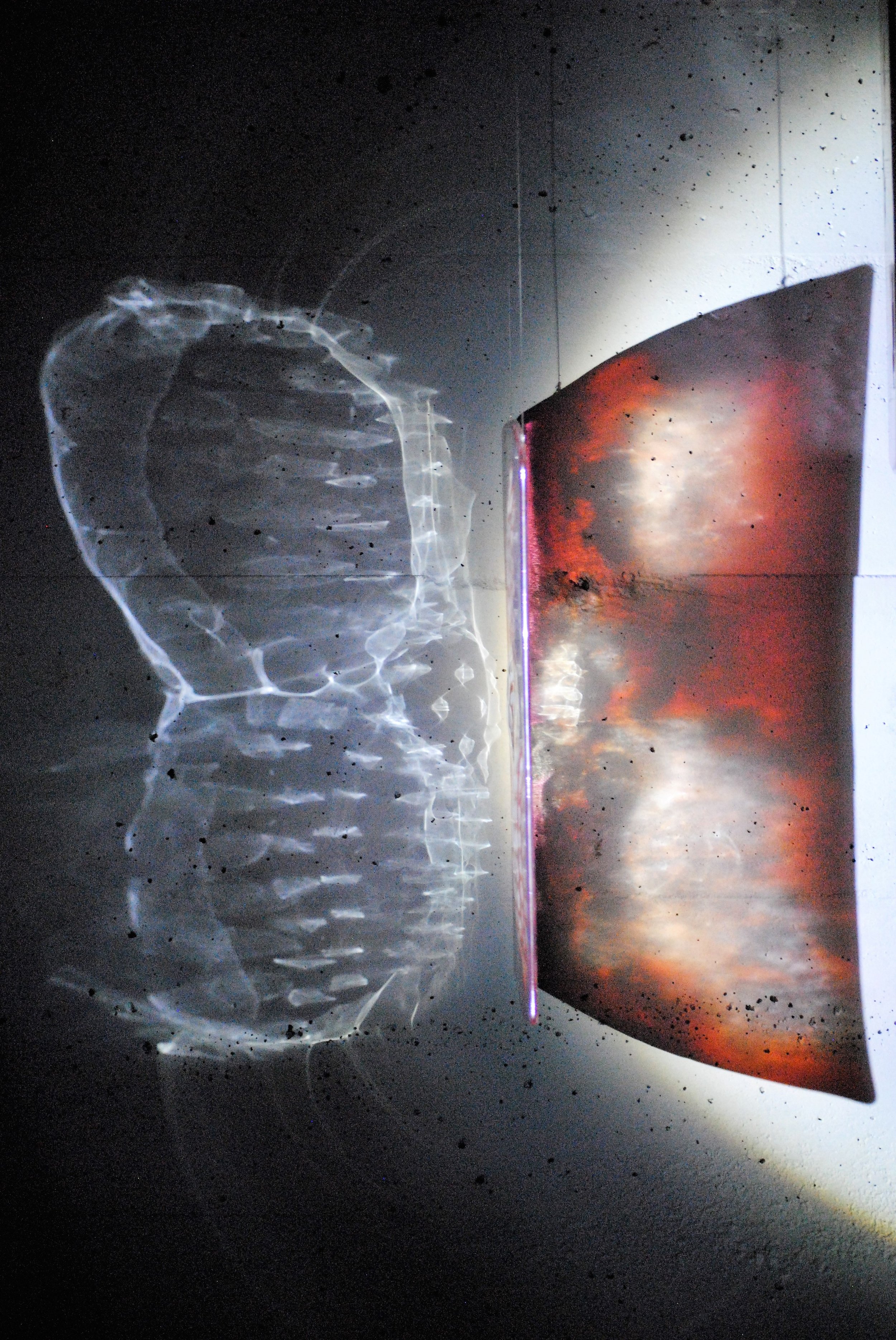 W.Olsen. Image #4.JPG