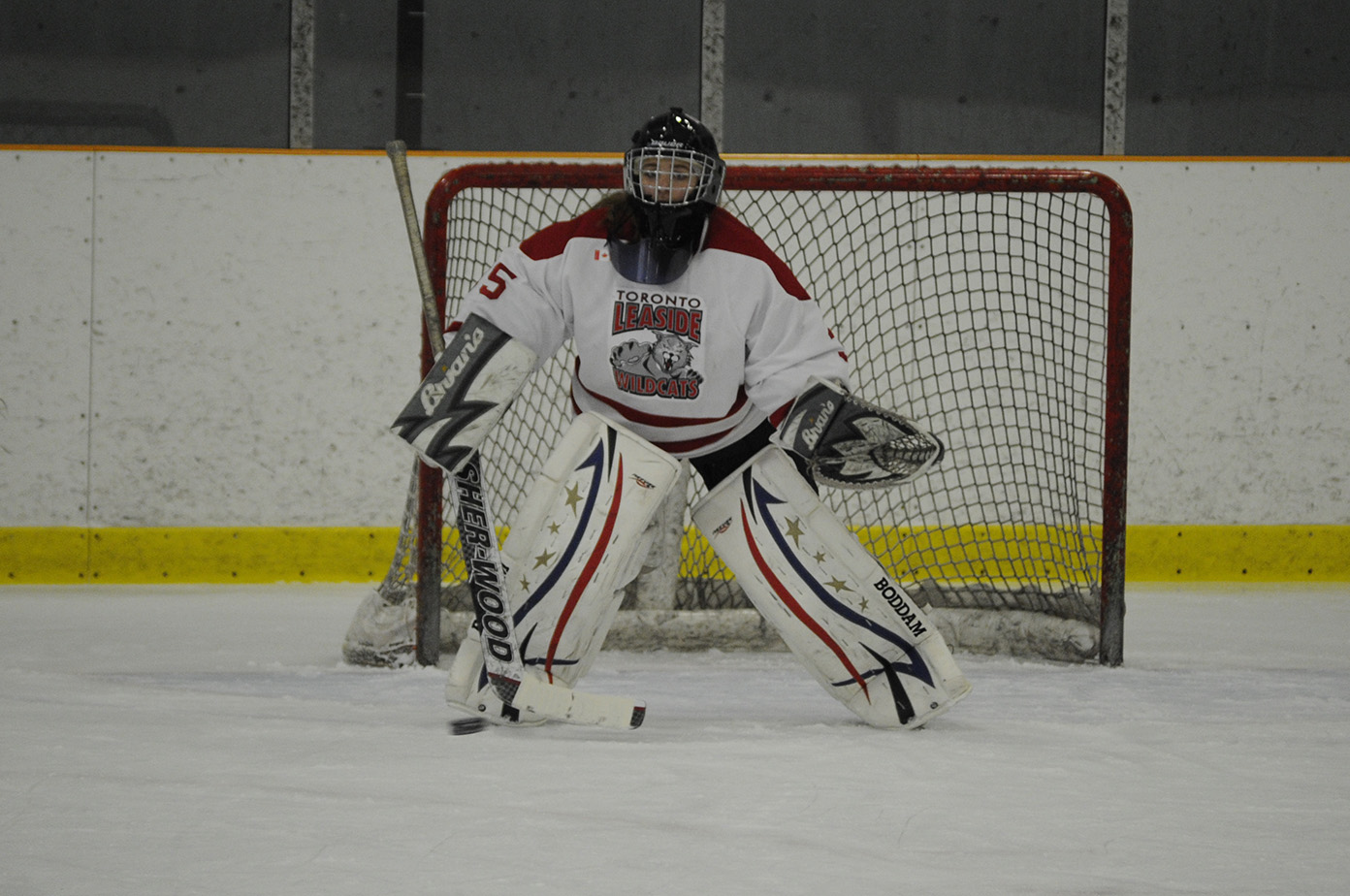 torontowildcats2.jpg