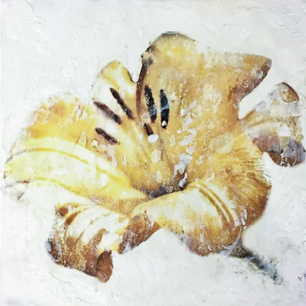 The Artistic Image - transform your photographs with pigment & wax