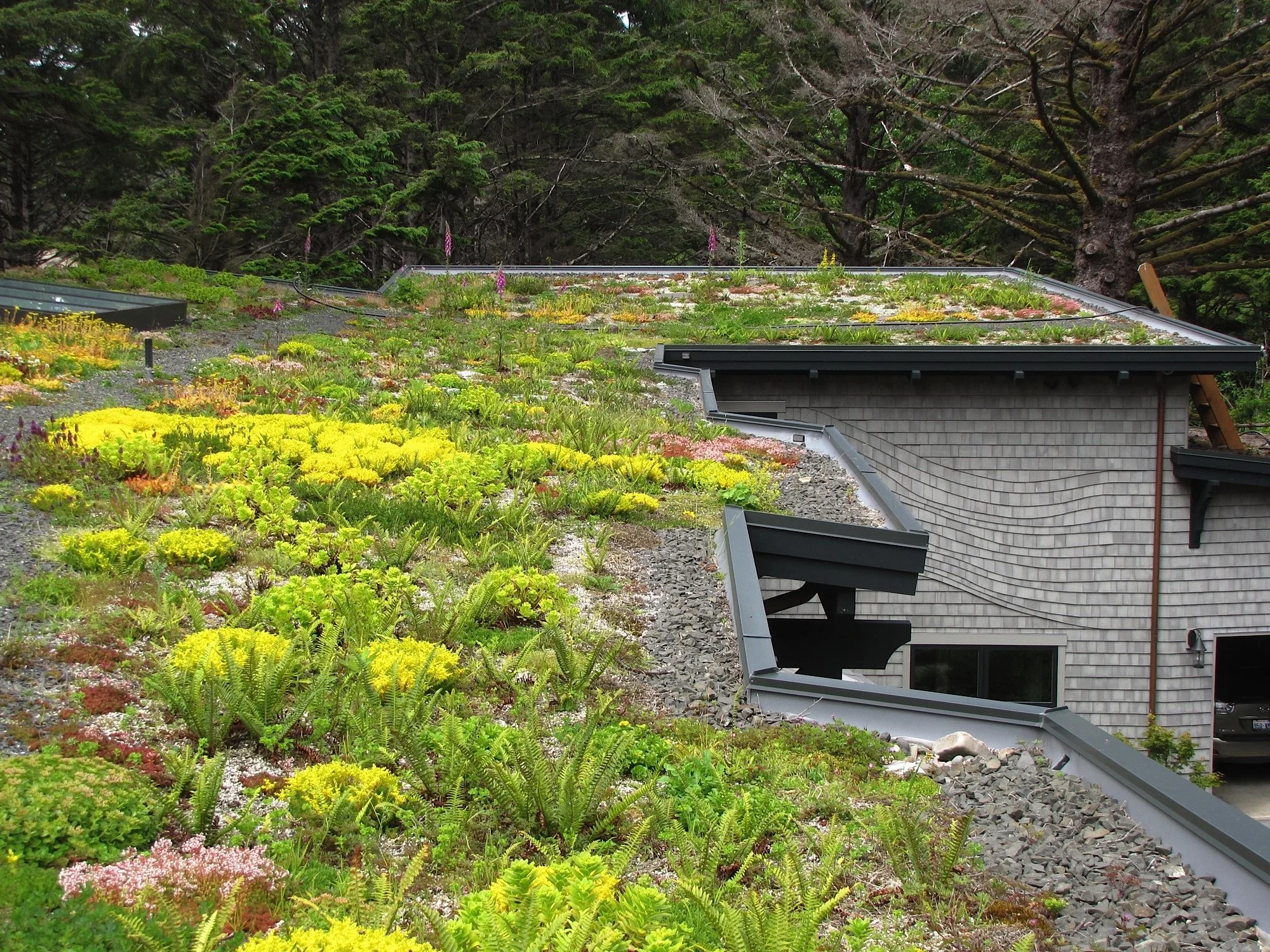 11-Roof Garden 3.JPG