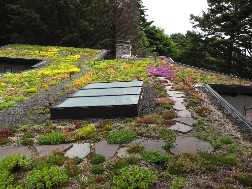 08-Roof Garden 1.JPG