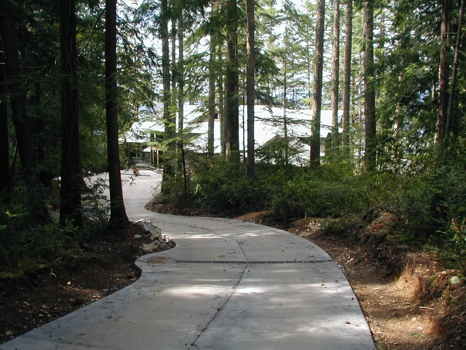 6-Driveway.JPG
