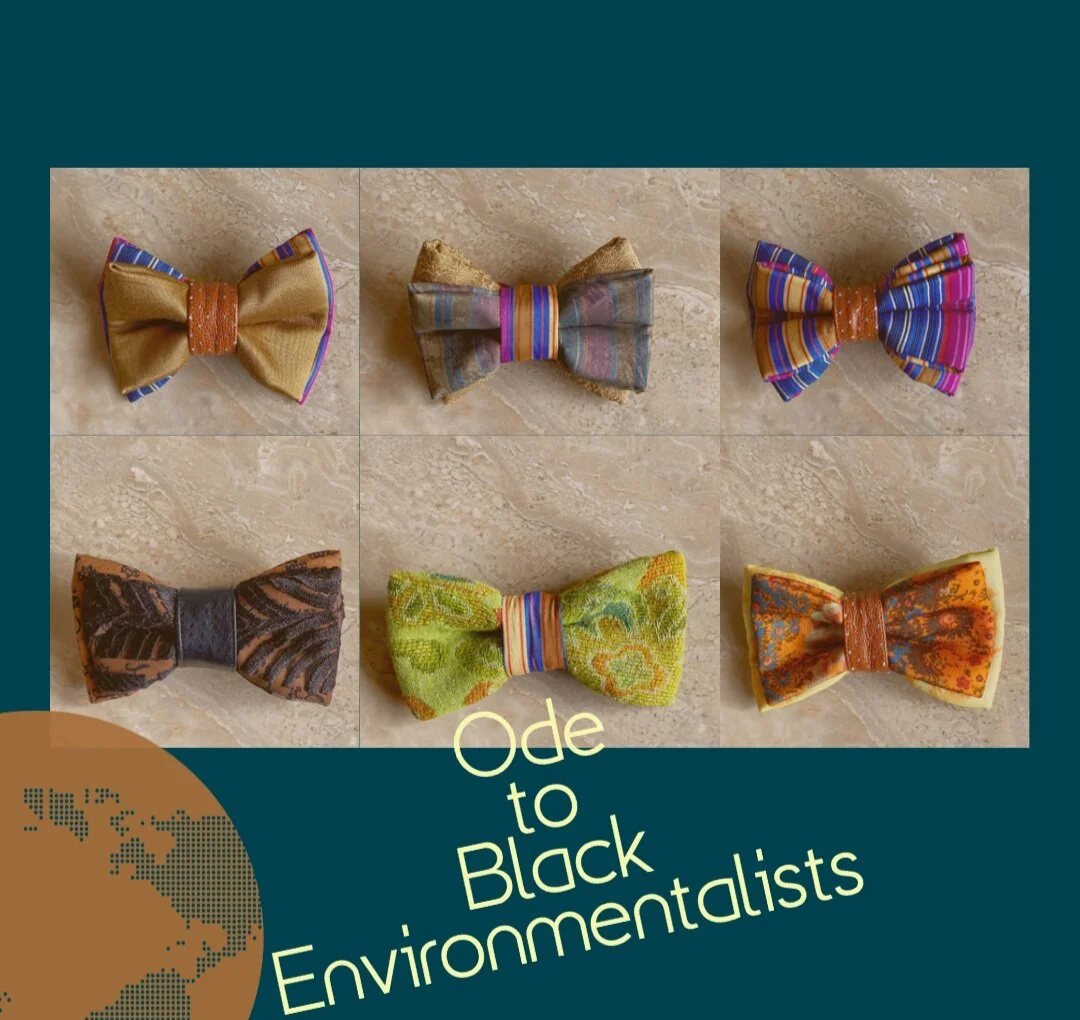 Celebrating Black Environmentalists 