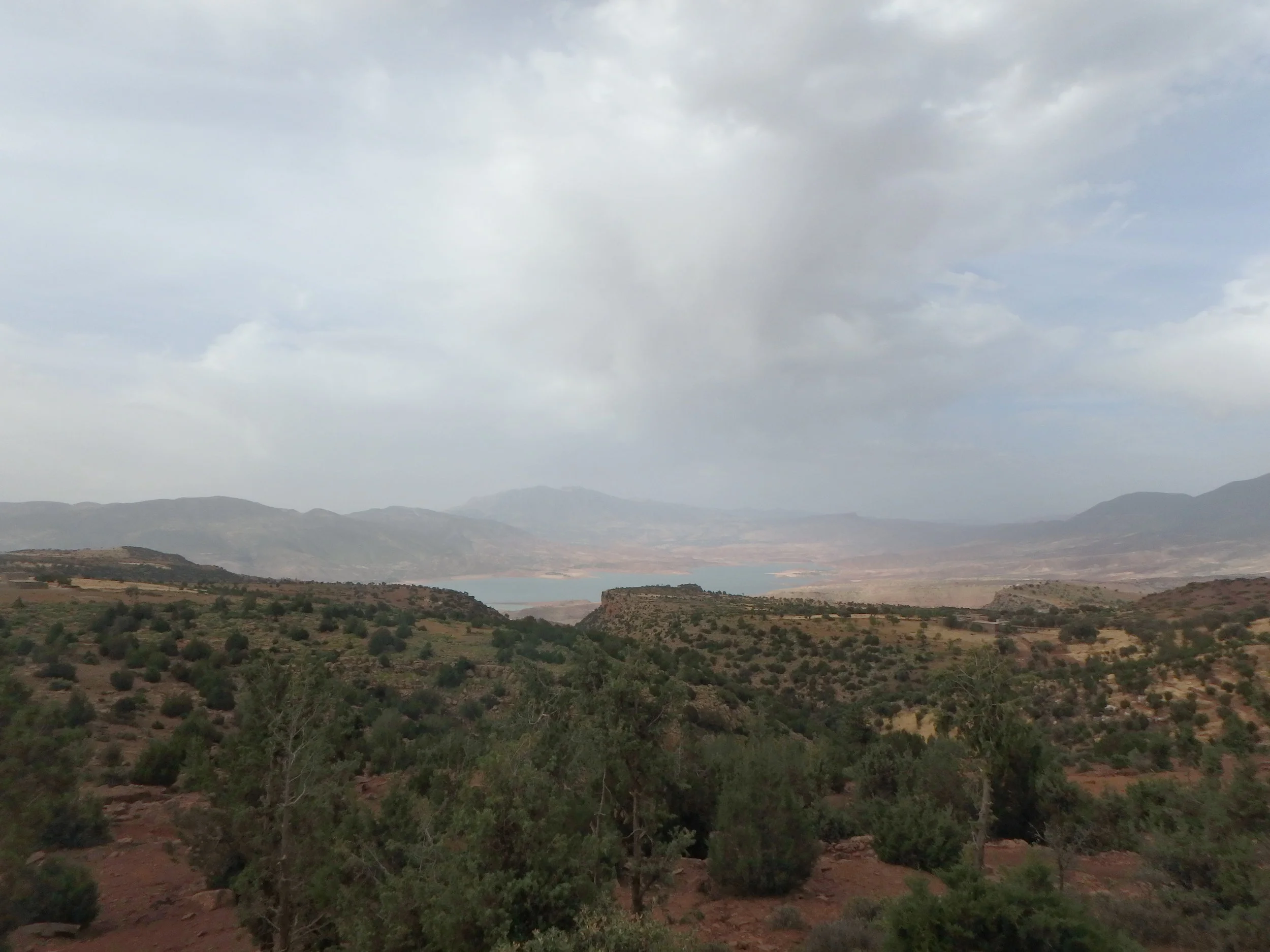 P5201664.jpg