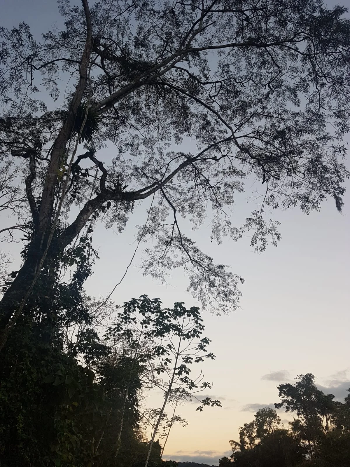 WhatsApp Image 2019-06-09 at 13.21.22.jpeg