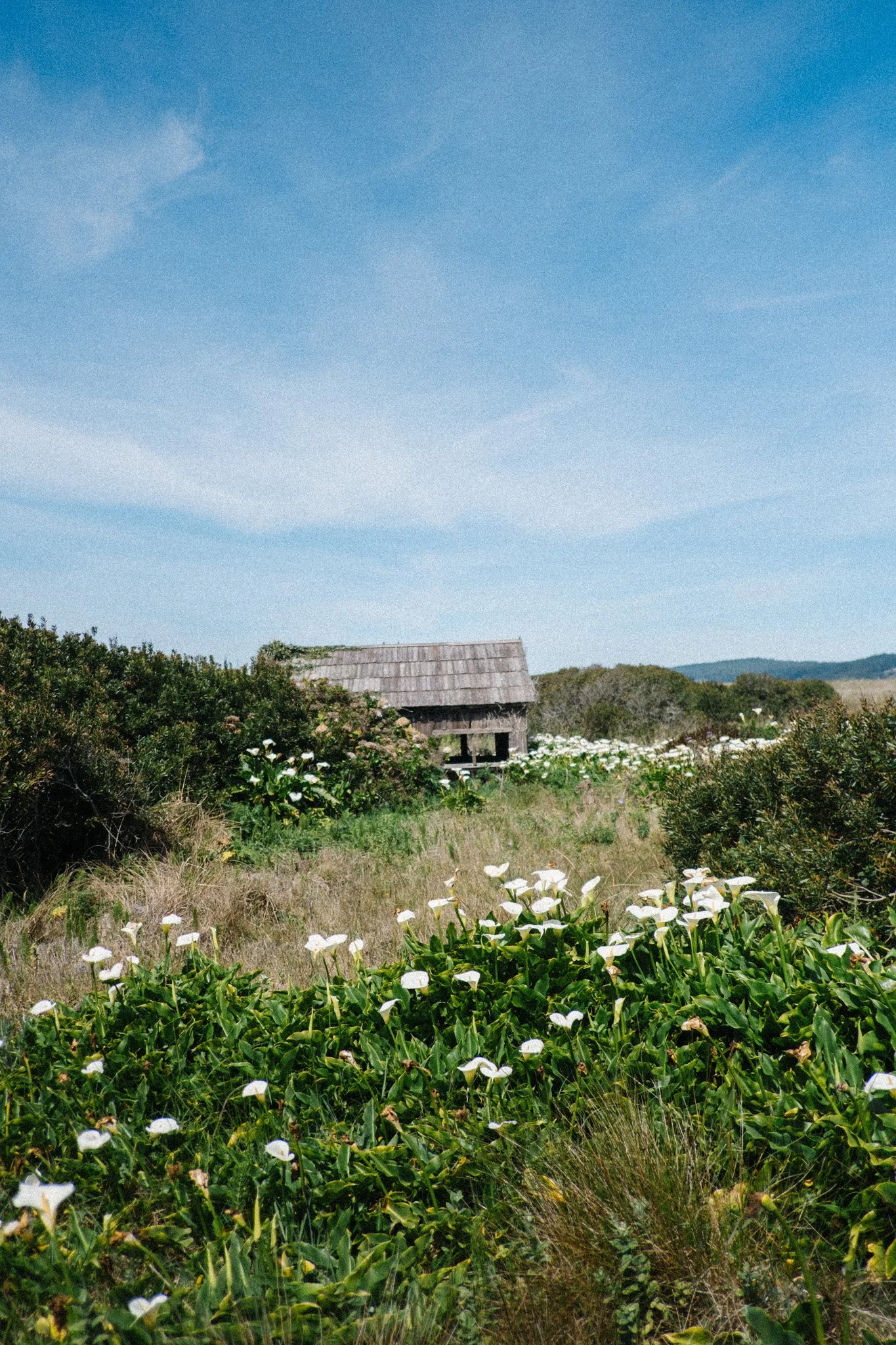 DSCF4639.jpg