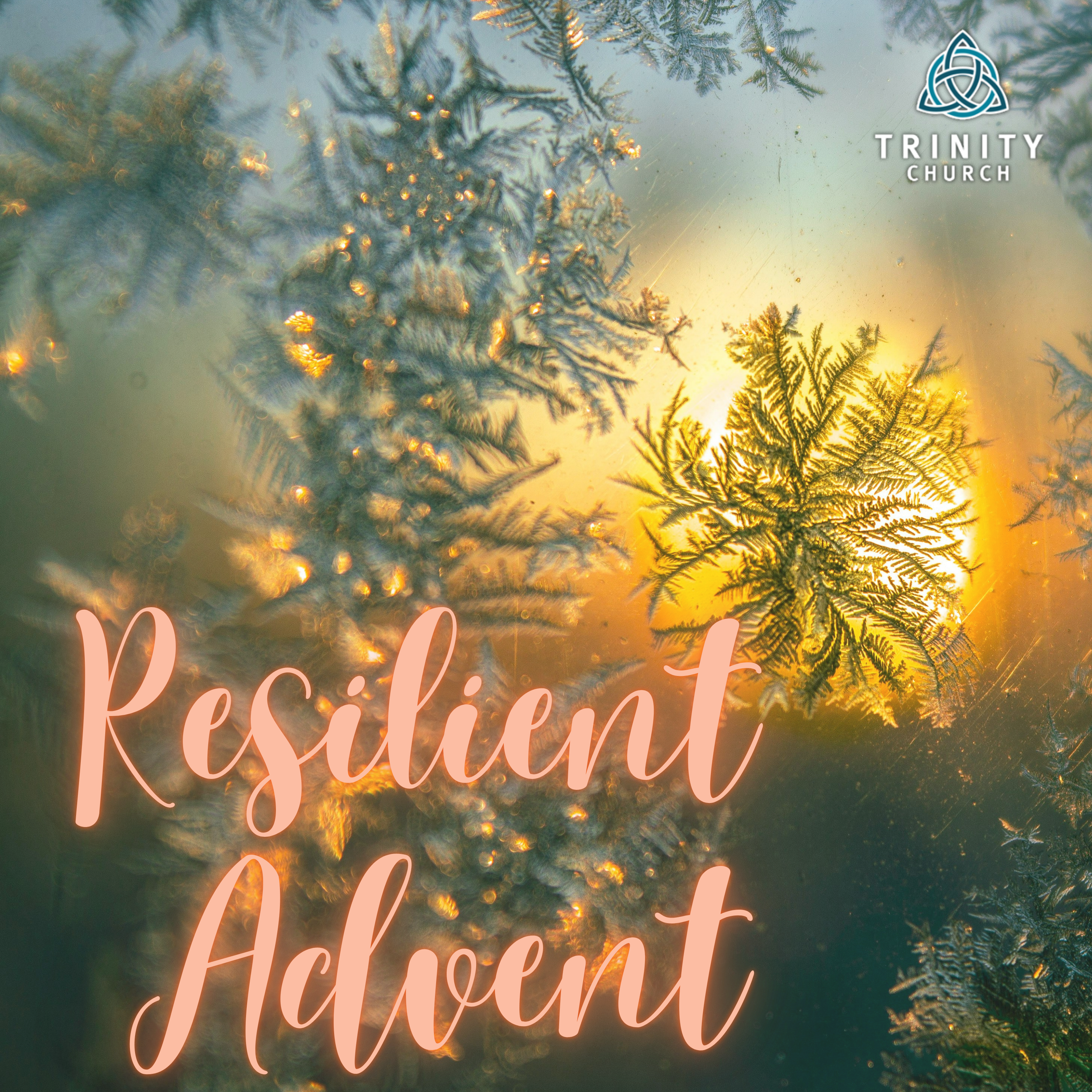  Advent - A Shoot, A Branch - Enduring, Romans 15.4-13 (Isaiah 11.1-10)
