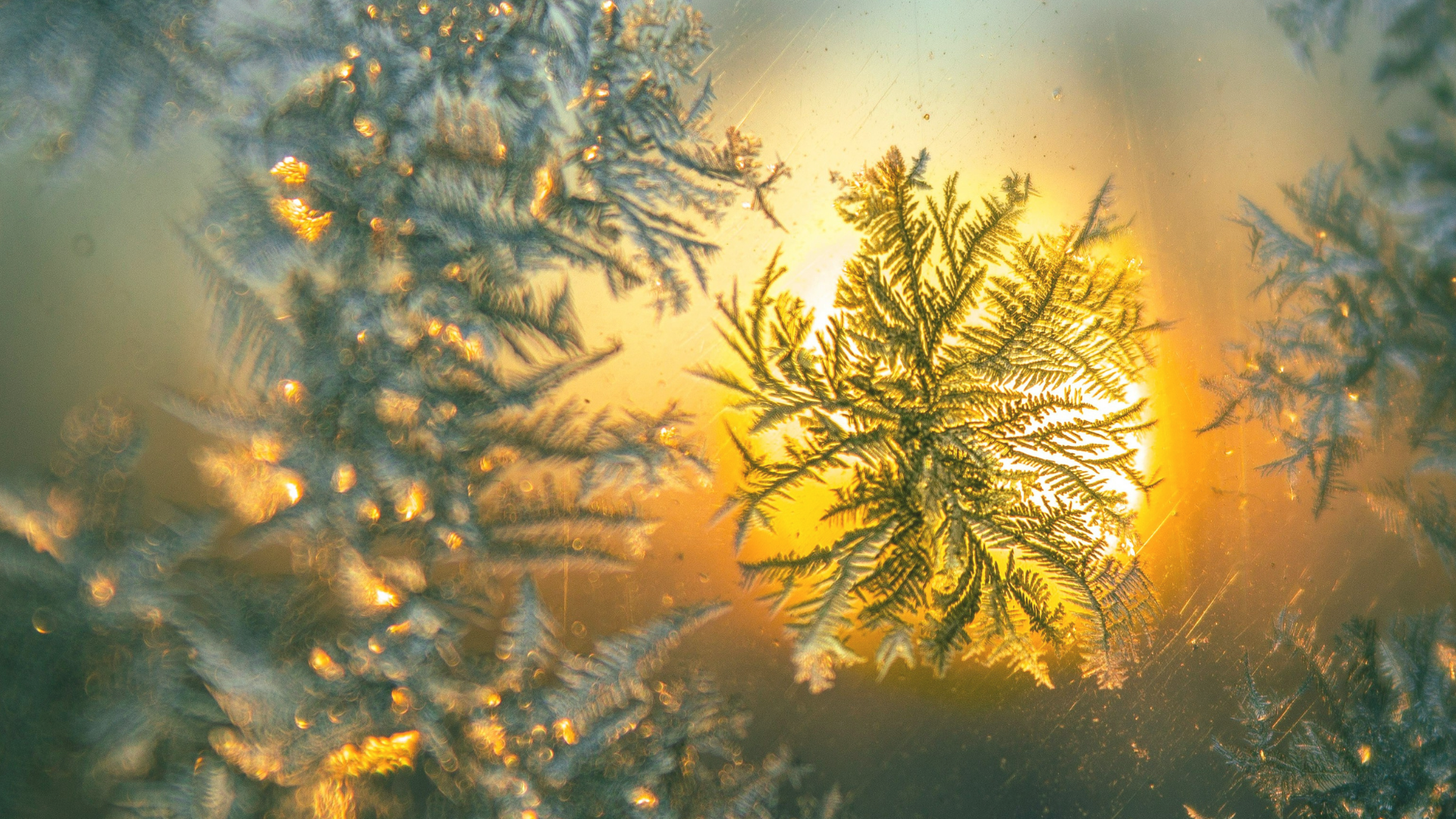 Christmas Eve Service