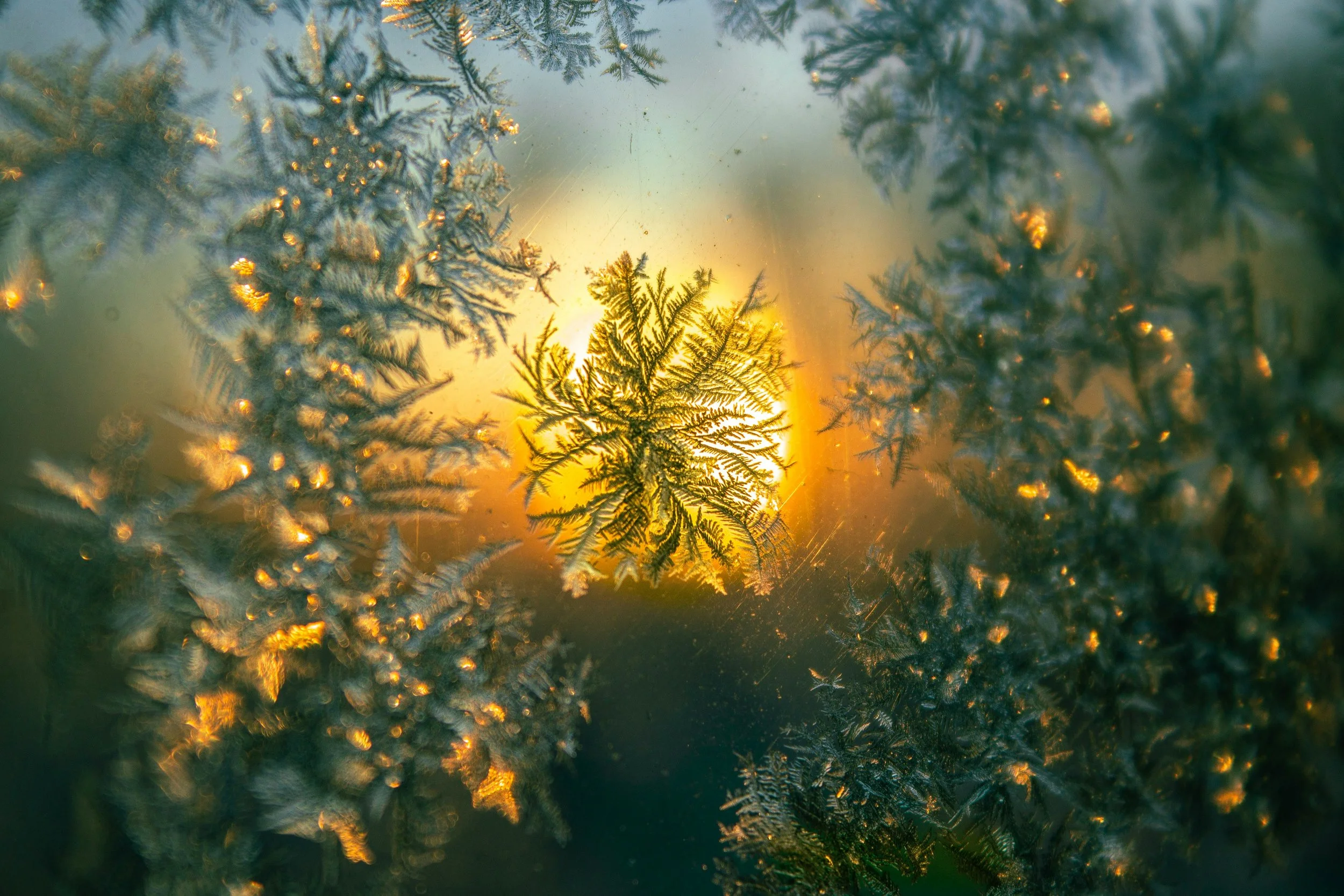 Resilient Advent   (A Lamp Unto My Feet*)