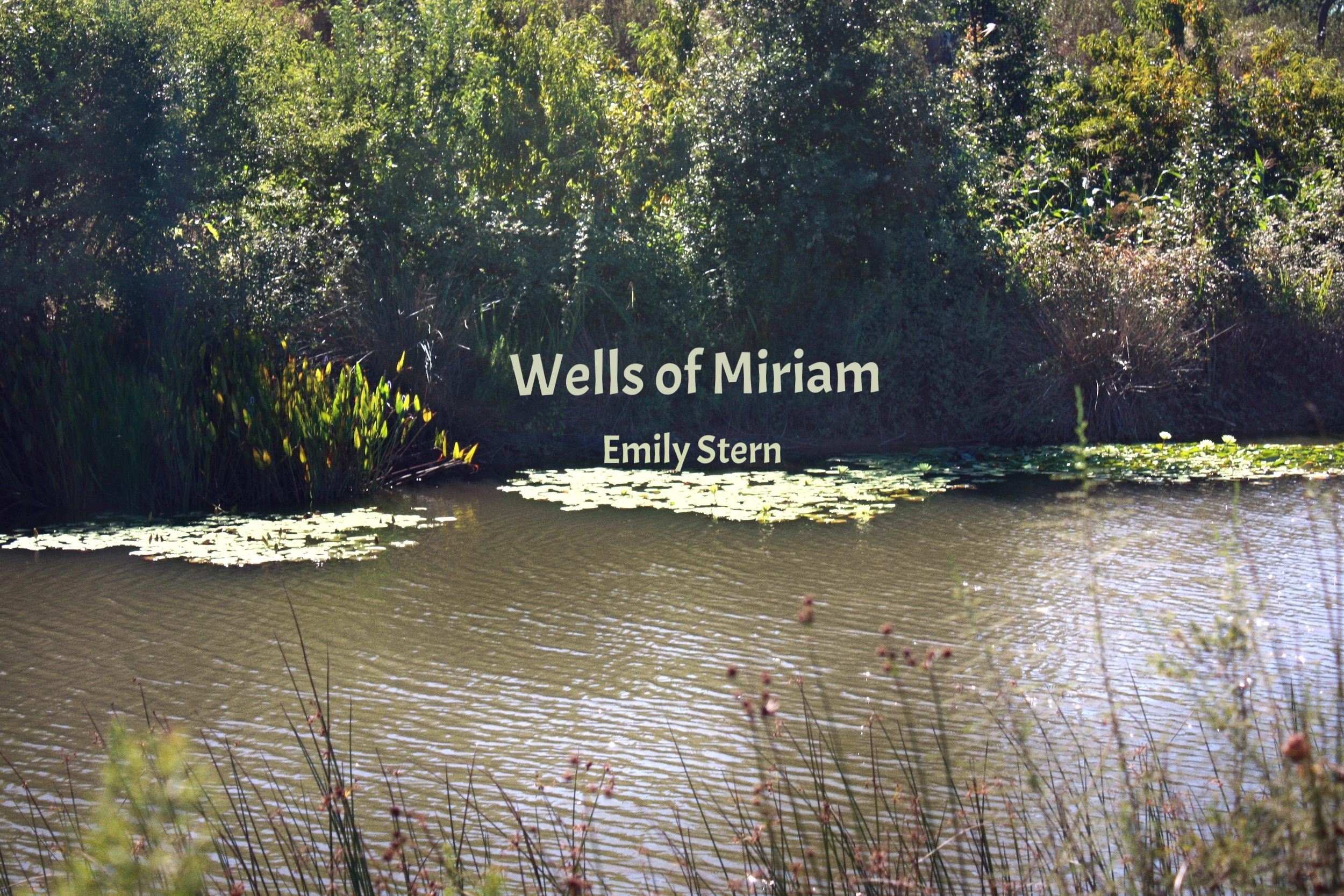 WELLS OF MIRIAM