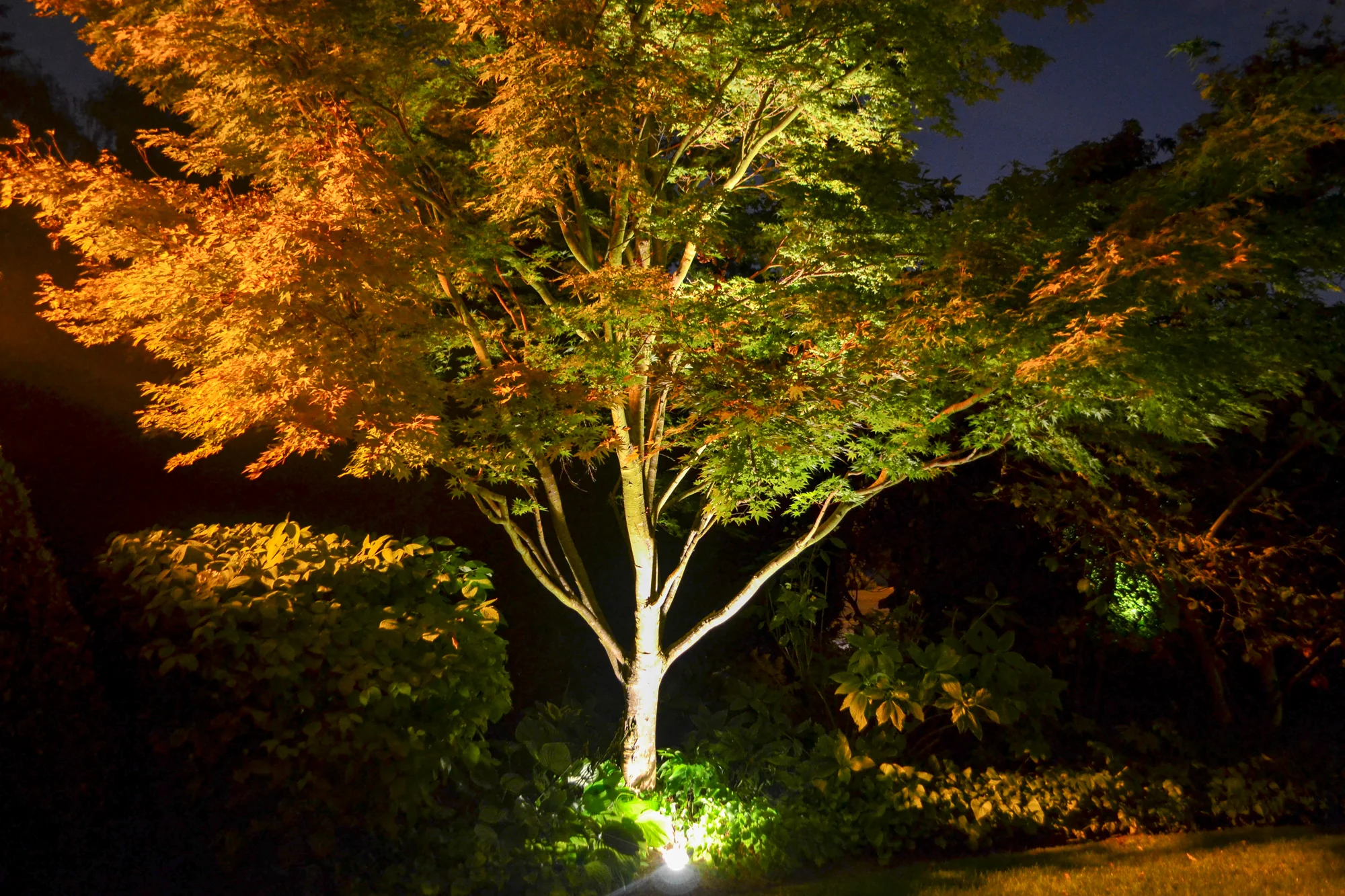Lighting Lighting can transform an outdoor space from a usable space from daytime to night time. Perennial Planning installs a variety of lighting for outdoor spaces. We can safely route power just about anywhere in our landscapes for a full visual effect. 